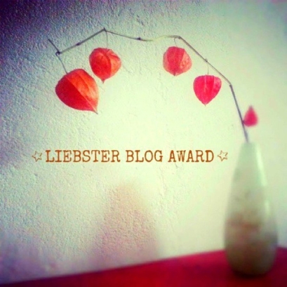 LIEBSTER-BLOG-AWARD