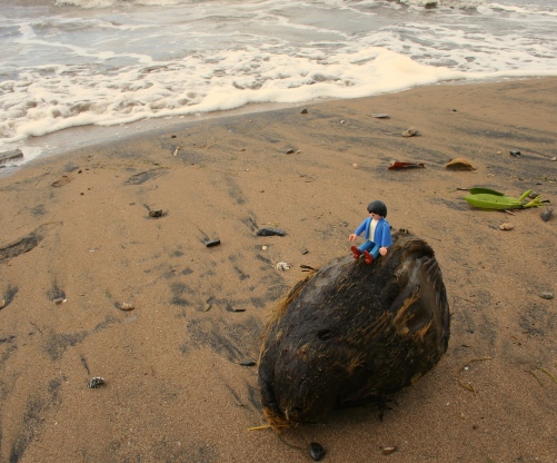 Mr Playmo admiring the sea from a shipwrecked coconut. 